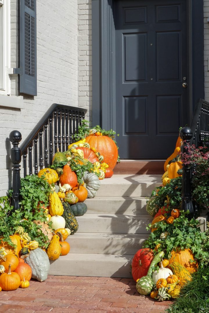 “For Aging In Place Accessibility, Front Steps May Not Be As We ...